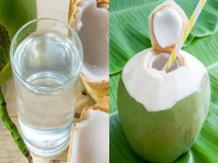 विश्व नारियल दिवस: हृदय से लेकर त्वचा तक, नारियल पानी देता है कई लाभ विश्व नारियल दिवस: हृदय से लेकर त्वचा तक, नारियल पानी देता है कई लाभ