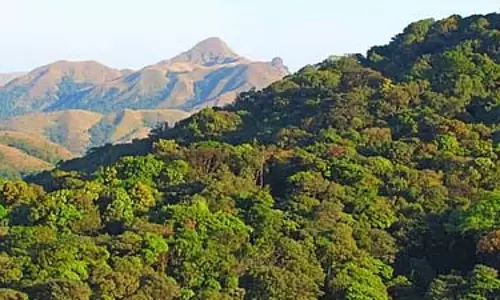 संशोधित बेड़ती-वरदा परियोजना से 1000 एकड़ जंगल नष्ट हो जाएगा: कार्यकर्ता
