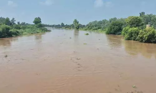 भारी बारिश से घग्गर नदी उफान पर, Rajpura के गांवों को अलर्ट पर रखा गया भारी बारिश से घग्गर नदी उफान पर, Rajpura के गांवों को अलर्ट पर रखा गया