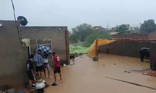 Hisar में भारी बारिश से 80,000 एकड़ ज़मीन जलमग्न, नहरें टूटीं