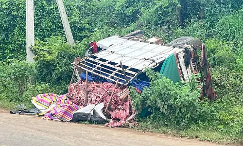 Mamadapur : गोमांस ले जा रहा वाहन पलटा, चालक फरार Mamadapur : गोमांस ले जा रहा वाहन पलटा, चालक फरार