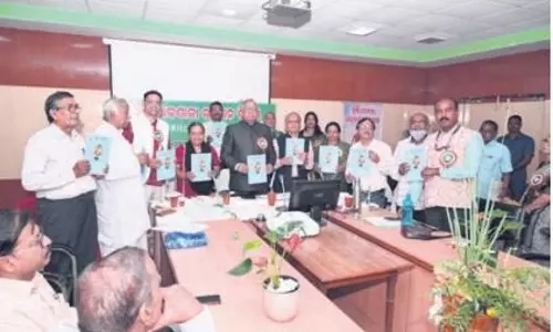 शहर में विश्व रसोई उद्यान दिवस मनाया गया शहर में विश्व रसोई उद्यान दिवस मनाया गया