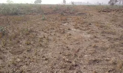 Haryana : फरीदाबाद लैंड पूलिंग के खिलाफ किसान एकजुट Haryana : फरीदाबाद लैंड पूलिंग के खिलाफ किसान एकजुट