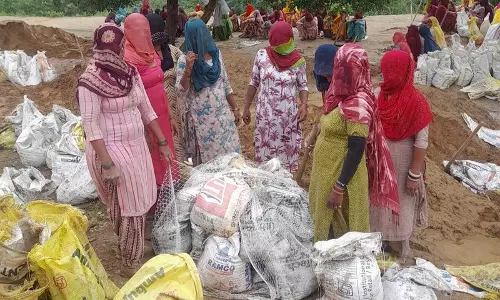 Sirsa  में भारी बारिश से खेतों में पानी भर गया