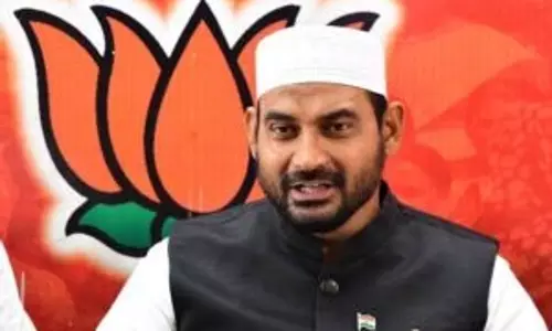डीएमके सरकार हिंदू भावनाओं को ठेस पहुंचा रही है: भाजपा नेता