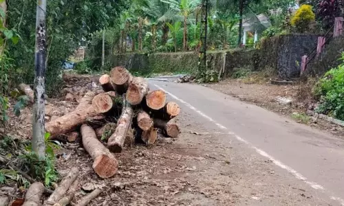 सड़क पर लकड़ी उतारने-चढ़ाने से दुर्घटना का खतरा, स्थानीय लोगों को परेशानी