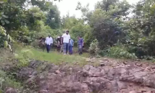 Odisha: वन विभाग ने पग मार्क के बाद सुरक्षा कड़ी की