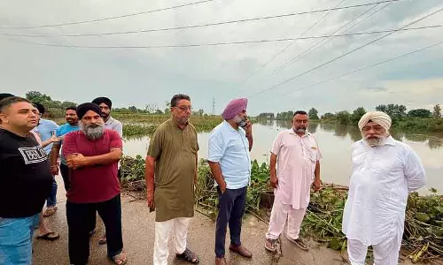 Jalandhar: चिट्टी बेईं नदी के उफान पर होने से कैंट के गांवों में बाढ़ का खतरा Jalandhar: चिट्टी बेईं नदी के उफान पर होने से कैंट के गांवों में बाढ़ का खतरा