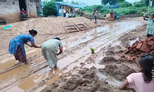 कीचड़ भरी सड़कों पर धान के खेतों के साथ आदिवासी महिलाओं का विरोध प्रदर्शन