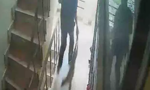 Ghaziabad: व्यक्ति ने पिल्ले को पीटकर इमारत से फेंका