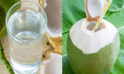 विश्व नारियल दिवस: हृदय से लेकर त्वचा तक, नारियल पानी देता है कई लाभ