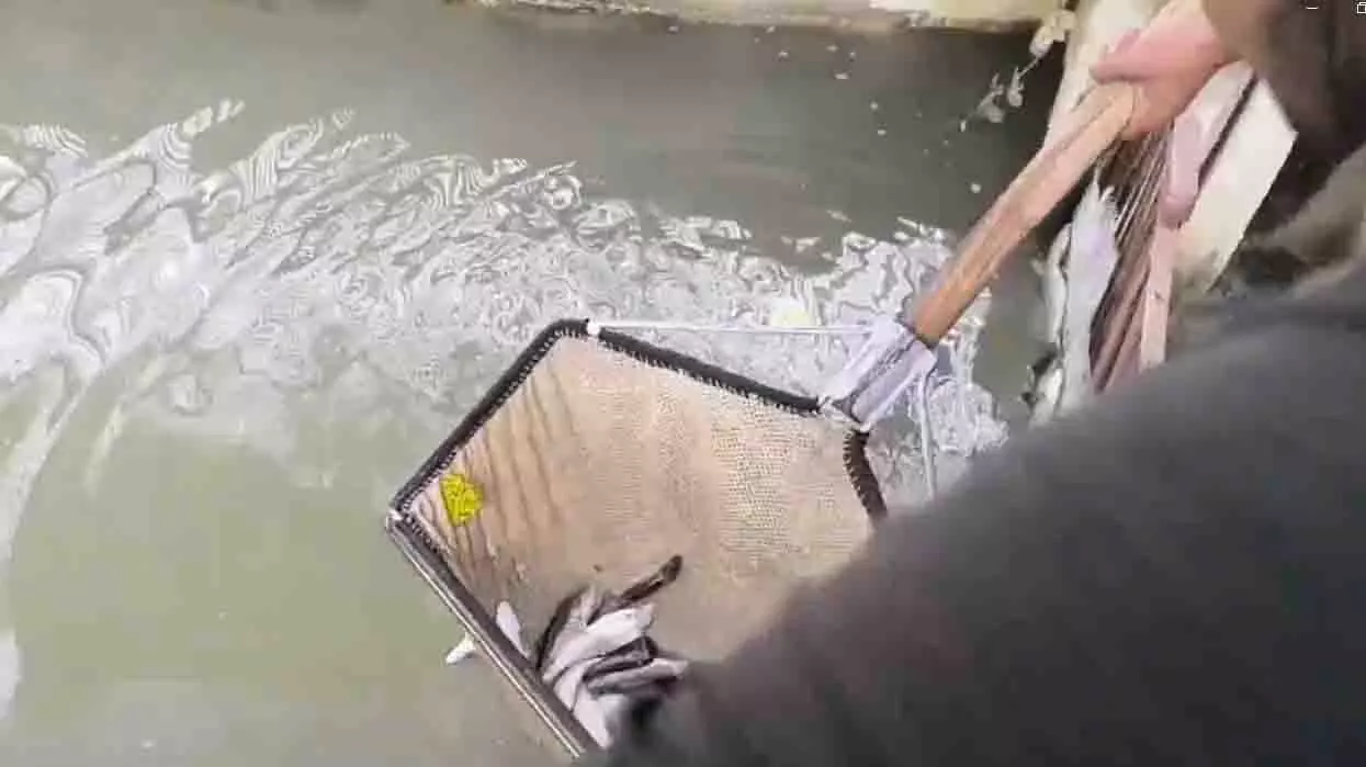 Jammu Kashmir: बहन की शादी के 5 दिन पहले परिवार पर टूटा दुखों का पहाड़, मची हाहाकार Jammu Kashmir: बहन की शादी के 5 दिन पहले परिवार पर टूटा दुखों का पहाड़, मची हाहाकार