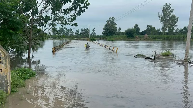 Haryana : यमुना के उफान पर आने से करनाल जिले में फसलें और सड़कें जलमग्न Haryana : यमुना के उफान पर आने से करनाल जिले में फसलें और सड़कें जलमग्न