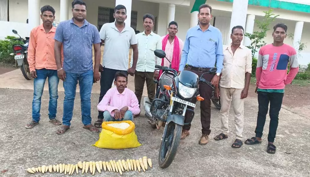 बांस करील और पिका का अवैध परिवहन, युवक गिरफ्तार बांस करील और पिका का अवैध परिवहन, युवक गिरफ्तार
