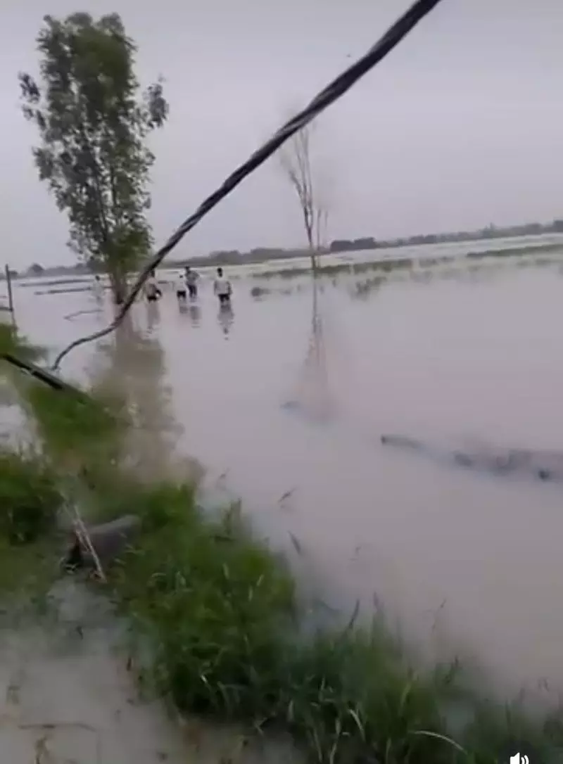 Rohtak के किसानों ने गिरदावरी और फसल दावे की समय सीमा बढ़ाने की मांग की Rohtak के किसानों ने गिरदावरी और फसल दावे की समय सीमा बढ़ाने की मांग की