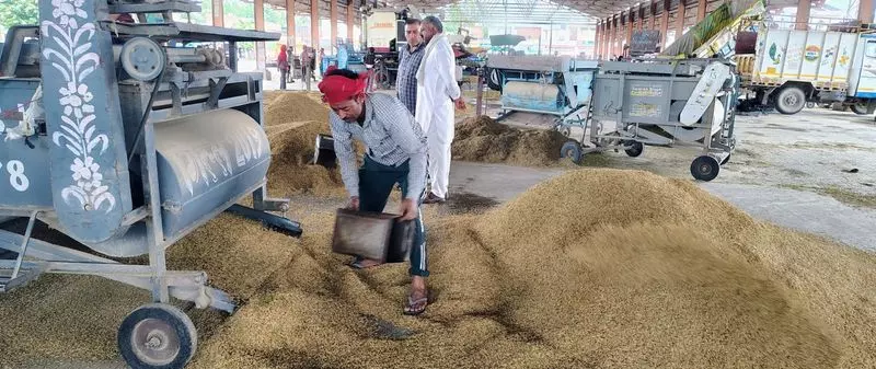 Karnal : छह अनाज मंडियों में पूसा बासमती 1509 की आवक में तेजी Karnal : छह अनाज मंडियों में पूसा बासमती 1509 की आवक में तेजी