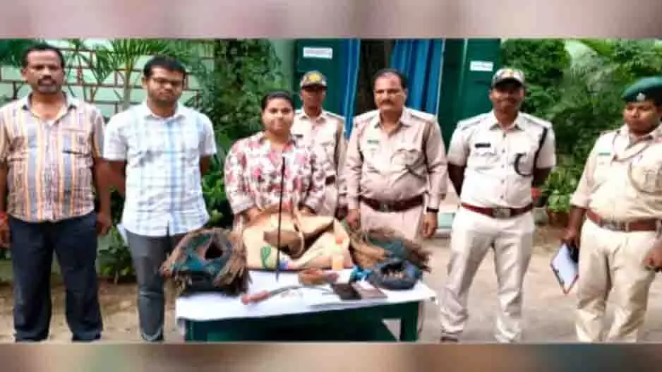 Ganjam: तेंदुए की खाल बरामद, पिता के बाद बेटा गिरफ्तार Ganjam: तेंदुए की खाल बरामद, पिता के बाद बेटा गिरफ्तार