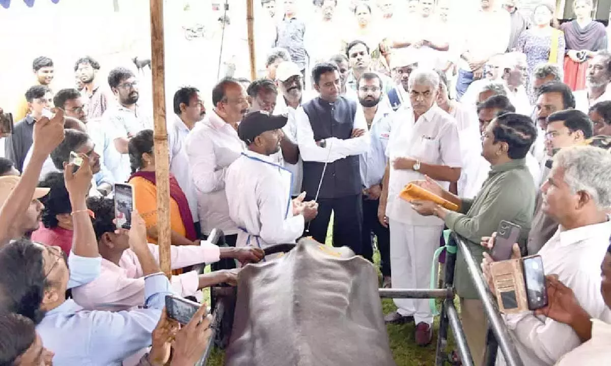 Andhra: कृष्णा दुग्ध संघ ने वीर्य वितरण शुरू किया