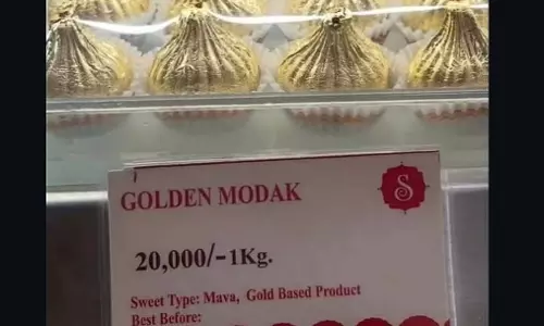 Nashik : गोल्डन मोदक की कीमत 20 हजार प्रति किलोग्राम, गणेश चतुर्थी पर चर्चा का विषय