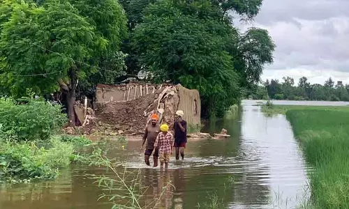 Punjab बाढ़: नदी तल पर अतिक्रमण से तबाही बढ़ी