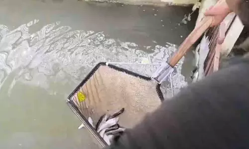 Jammu Kashmir: बहन की शादी के 5 दिन पहले परिवार पर टूटा दुखों का पहाड़, मची हाहाकार Jammu Kashmir: बहन की शादी के 5 दिन पहले परिवार पर टूटा दुखों का पहाड़, मची हाहाकार