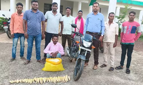 बांस करील और पिका का अवैध परिवहन, युवक गिरफ्तार बांस करील और पिका का अवैध परिवहन, युवक गिरफ्तार