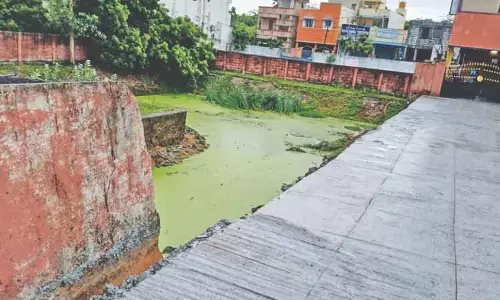 Chennai: तालाब के चारों ओर दीवार बहाल करने का सेमेनचेरी निवासियों से आग्रह