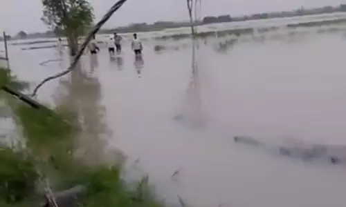 Rohtak के किसानों ने गिरदावरी और फसल दावे की समय सीमा बढ़ाने की मांग की Rohtak के किसानों ने गिरदावरी और फसल दावे की समय सीमा बढ़ाने की मांग की