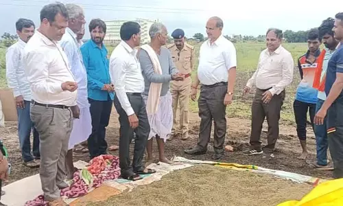 नाम फसल क्षति: जिला कलेक्टर ने किया निरीक्षण