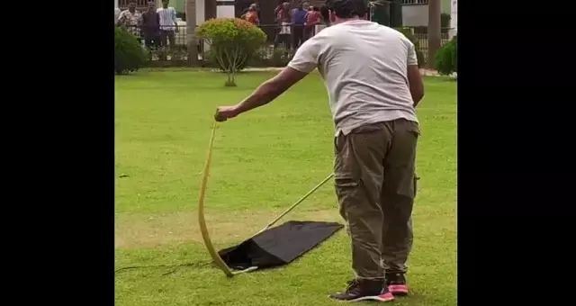 रेबाना नुआगांव सामुदायिक स्वास्थ्य केंद्र से 5.5 फुट लंबे कोबरा सांप को बचाया गया