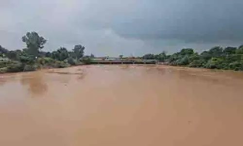 Punjab: घग्गर नदी उफान पर, पटियाला के खेतों में पानी भरा