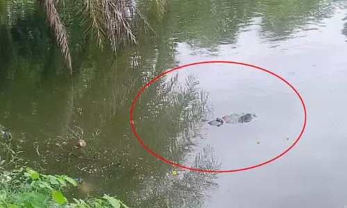 शौच गई महिला की लाश तालाब में मिली, गांव में सनसनी शौच गई महिला की लाश तालाब में मिली, गांव में सनसनी