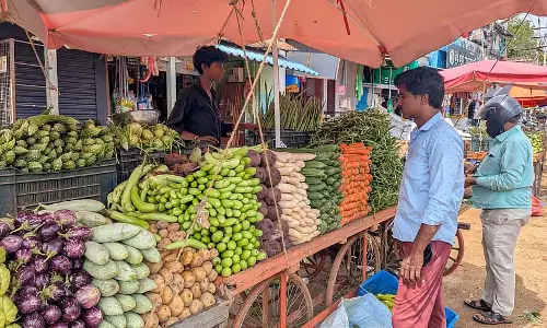 टमाटर, नगेट्स की कीमतों में गिरावट; फूलों की कीमतों में गिरावट टमाटर, नगेट्स की कीमतों में गिरावट; फूलों की कीमतों में गिरावट