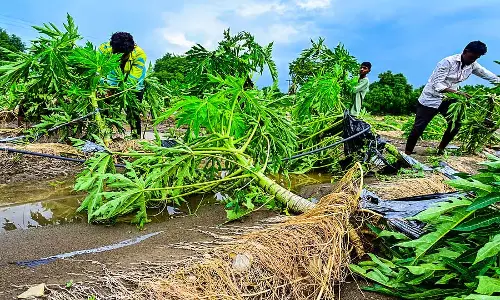 Kalaburagi : केवल दो सप्ताह में 334 घर क्षतिग्रस्त Kalaburagi : केवल दो सप्ताह में 334 घर क्षतिग्रस्त
