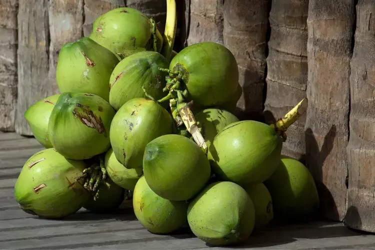 Kerala के किसानों को 30 करोड़ रुपये की संशोधित सहायता योजनाओं से लाभ Kerala के किसानों को 30 करोड़ रुपये की संशोधित सहायता योजनाओं से लाभ