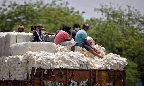 भारत की कपास आयात के रूप में रिकॉर्ड खरीद पर नजर भारत की कपास आयात के रूप में रिकॉर्ड खरीद पर नजर