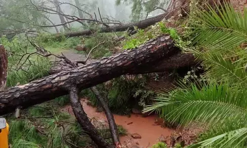 Solan district में मकान गिरने से महिला की मौत Solan district में मकान गिरने से महिला की मौत