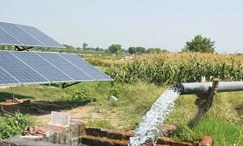 क्वेटा में 15 सूत्रीय मांगों को लेकर भूख हड़ताल पर बैठे किसान क्वेटा में 15 सूत्रीय मांगों को लेकर भूख हड़ताल पर बैठे किसान