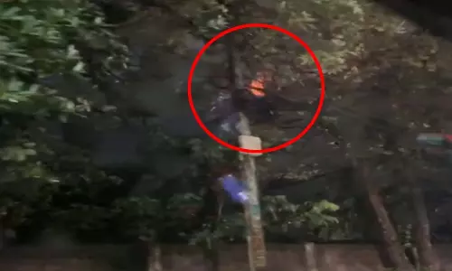 रायपुर के बेबीलॉन टावर में भीषण आग, दमकल ने पाया काबू रायपुर के बेबीलॉन टावर में भीषण आग, दमकल ने पाया काबू