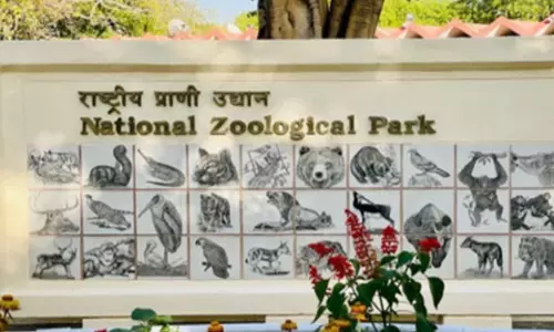 Delhi zoo: नई पक्षी मौत नहीं, पेंटेड स्टॉर्क में एवियन इन्फ्लूएंजा के बाद सतर्कता जारी