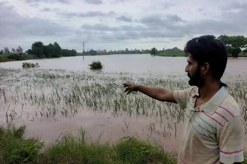 Patiala में घग्गर नदी उफान पर, 1,450 एकड़ फसलें जलमग्न Patiala में घग्गर नदी उफान पर, 1,450 एकड़ फसलें जलमग्न