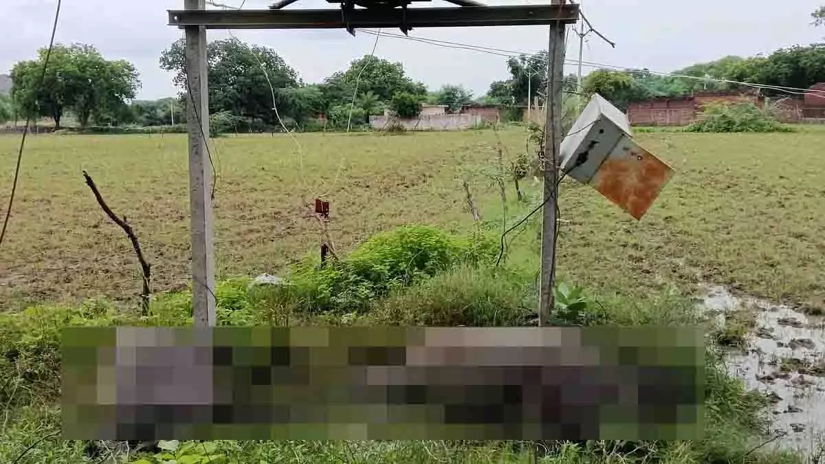 MP: भारी बारिश के दौरान ट्रांसफार्मर से करंट लगने से दो भैंसों की मौत MP: भारी बारिश के दौरान ट्रांसफार्मर से करंट लगने से दो भैंसों की मौत