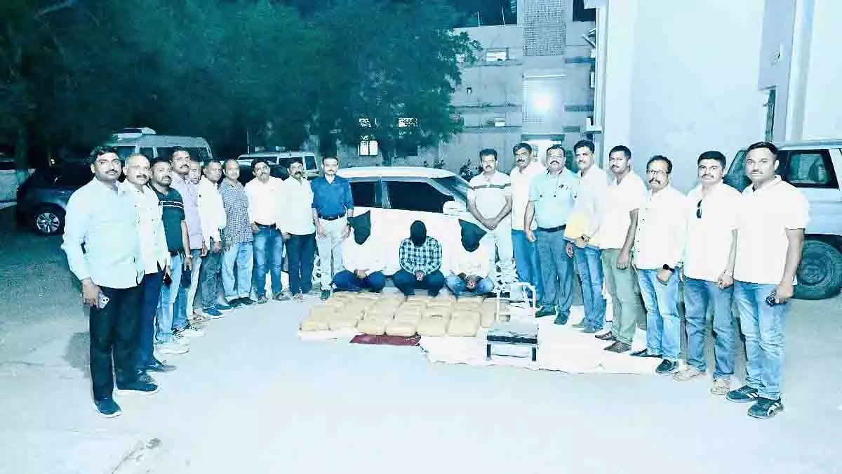 8 महीनों में 76 NDPS मामले दर्ज, 7.30 करोड़ रुपये मूल्य की ड्रग्स जब्त 8 महीनों में 76 NDPS मामले दर्ज, 7.30 करोड़ रुपये मूल्य की ड्रग्स जब्त
