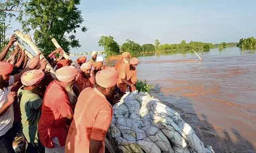 बांध में दरारें, Sultanpur Lodhi के ग्रामीणों को नदी से दूर रहने की सलाह