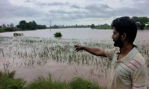 Patiala में घग्गर नदी उफान पर, 1,450 एकड़ फसलें जलमग्न Patiala में घग्गर नदी उफान पर, 1,450 एकड़ फसलें जलमग्न