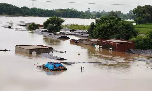 Punjab के सभी 23 जिले बाढ़ प्रभावित घोषित Punjab के सभी 23 जिले बाढ़ प्रभावित घोषित