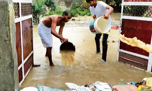 भारी बारिश से फतेहाबाद में जनजीवन अस्त-व्यस्त, 450 घर जलमग्न, एक व्यक्ति बह गया भारी बारिश से फतेहाबाद में जनजीवन अस्त-व्यस्त, 450 घर जलमग्न, एक व्यक्ति बह गया