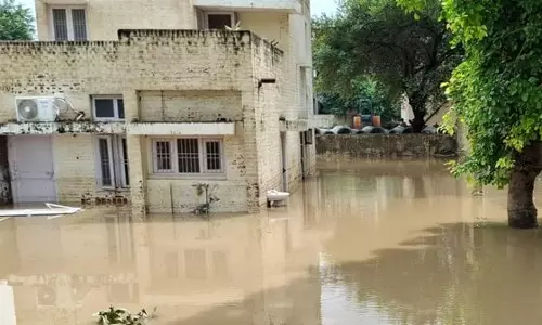 Haryana :  हिसार के गांवों में खेत जलमग्न, बाढ़ का पानी बस्तियों में घुसा