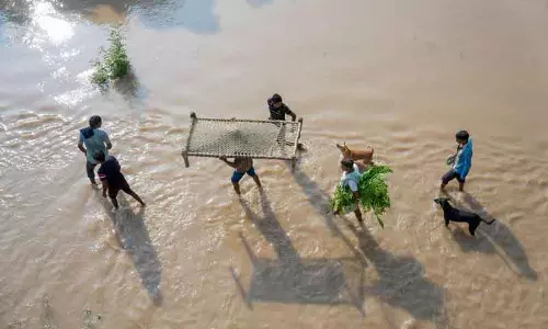 Ropar के बेला गाँवों को खाली कराया जाएगा क्योंकि भाखड़ा बाँध से आज दोपहर और पानी छोड़ा जाएगा