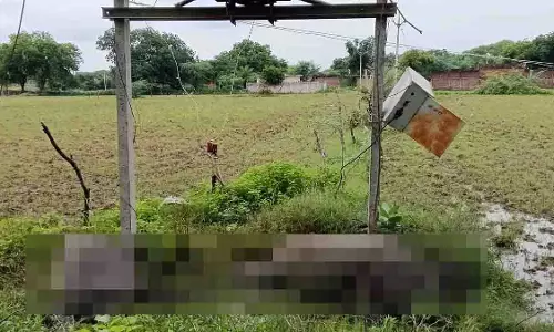 MP: भारी बारिश के दौरान ट्रांसफार्मर से करंट लगने से दो भैंसों की मौत